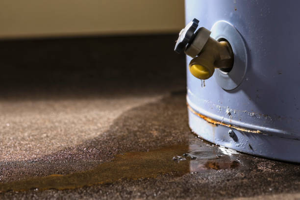 Local water damage restoration in LA