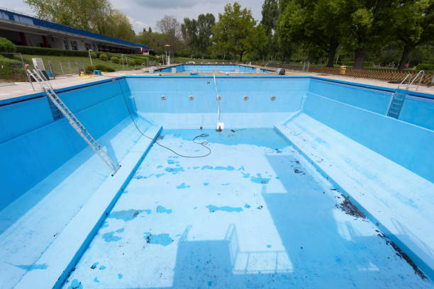 Best Mold removal after water damage  in Bawcomville, LA