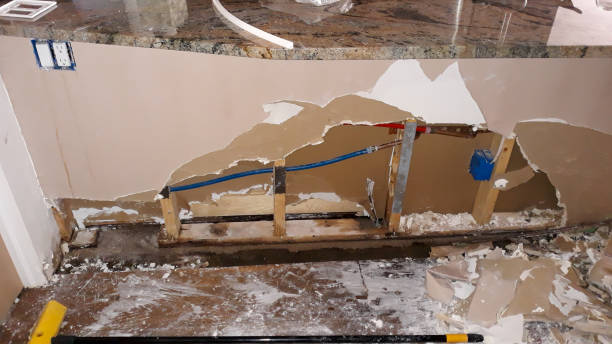 Best Carpet water damage restoration  in Bawcomville, LA