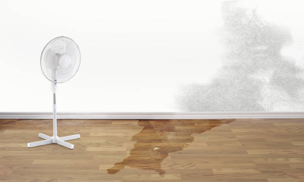Carpet water damage restoration in LA